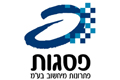 פסגות פתרונות מחשוב