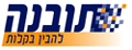 תובנה
